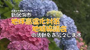 新居浜市地球高温化対策地域協議会の活動をお伝えします