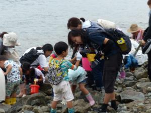 海辺の水生生物観察会