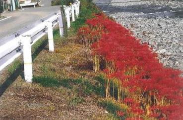 石川敬さんの活動写真