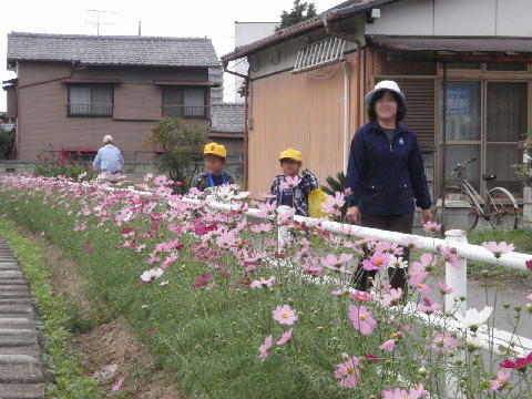 １０月に撮影した自転車歩行者専用道路です。