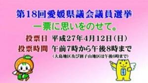 第18回愛媛県議会議員選挙一票に思いをのせてのサムネイル