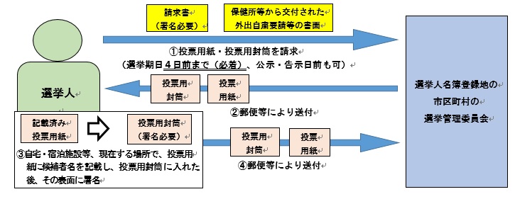 特例法投票イメージ